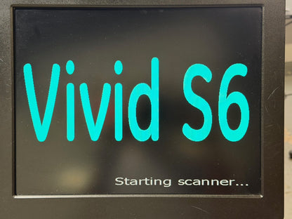 GE HealthCare Vivid S5/S6 Dislplay Monitor 17'' 2-D190-1005-02 - TESTED